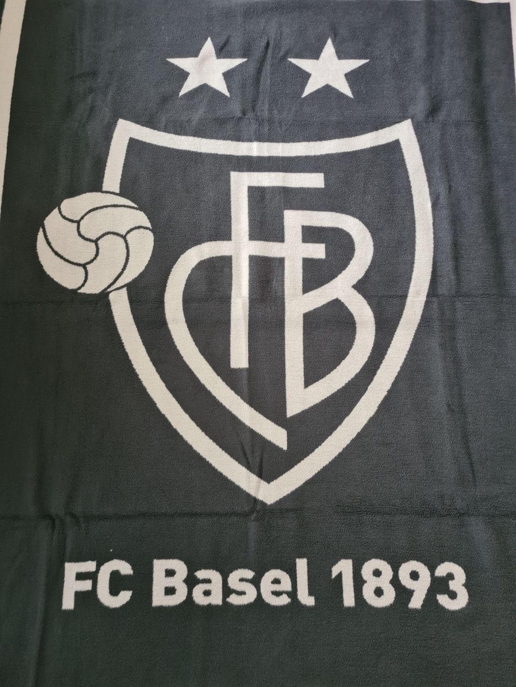 Coperte: FCB Wolldecke FC Basel 1893 – Nuovo (secondo la descrizione) da Grosswangen venduto da Spieler10 1