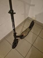 Trotinete