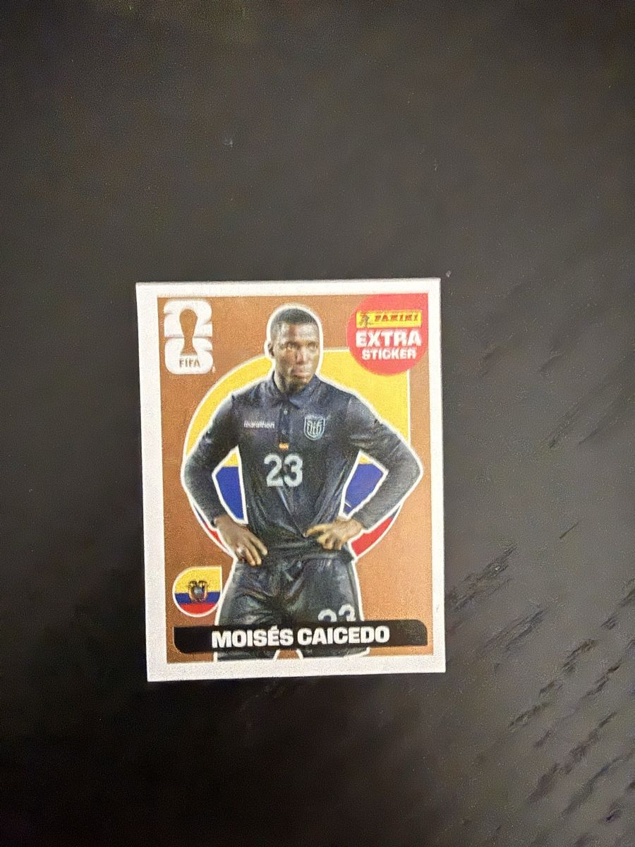 Panini Carte collezionabili: Panini WM2026 Extra Sticker Caicedo Bronze – Nuovo (secondo la descrizione) da Zürich venduto da Luccasss