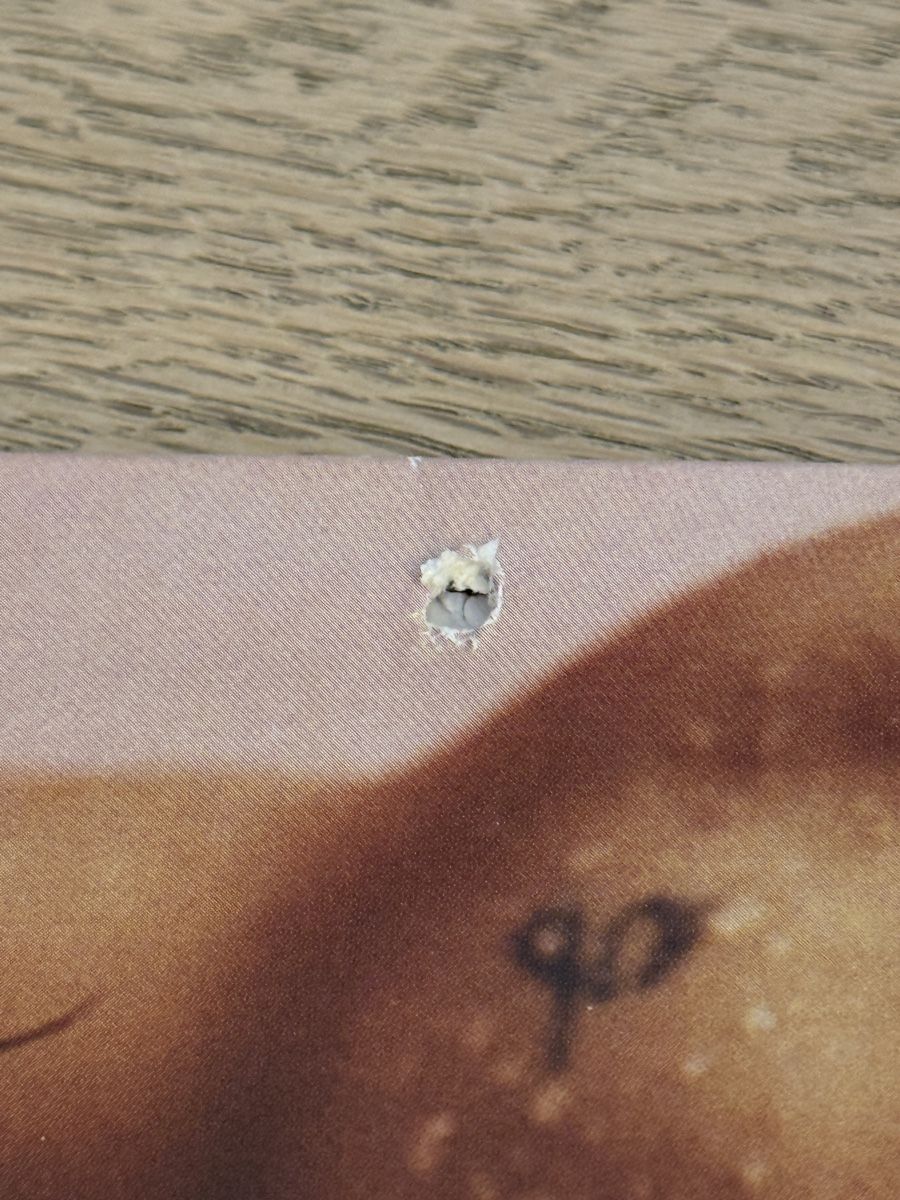 Schallplatten: Harry Styles Self-Titled Vinyl – Gebraucht aus Immensee von meg_5pqk 5
