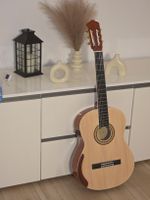 Custom Trans Acoustic Klassische Gitarre