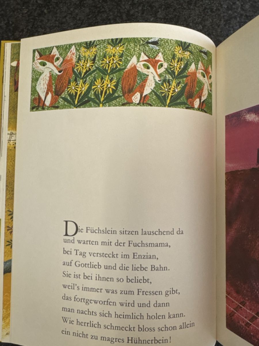 Libri: DIE BERGBAHN Moritz Kennel Rigibahn illustr. Jugendbuch – Usato da Eschenz venduto da Belladog 7