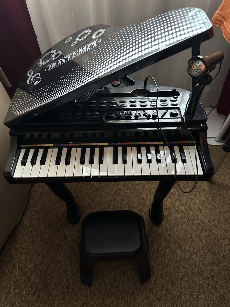 Bontempi Strumenti musicali: Bontempi Keyboard mit Mikrofon, Top Zustand, mit Hocker! – Nuovo (secondo la descrizione) da Horw venduto da DanielaGH