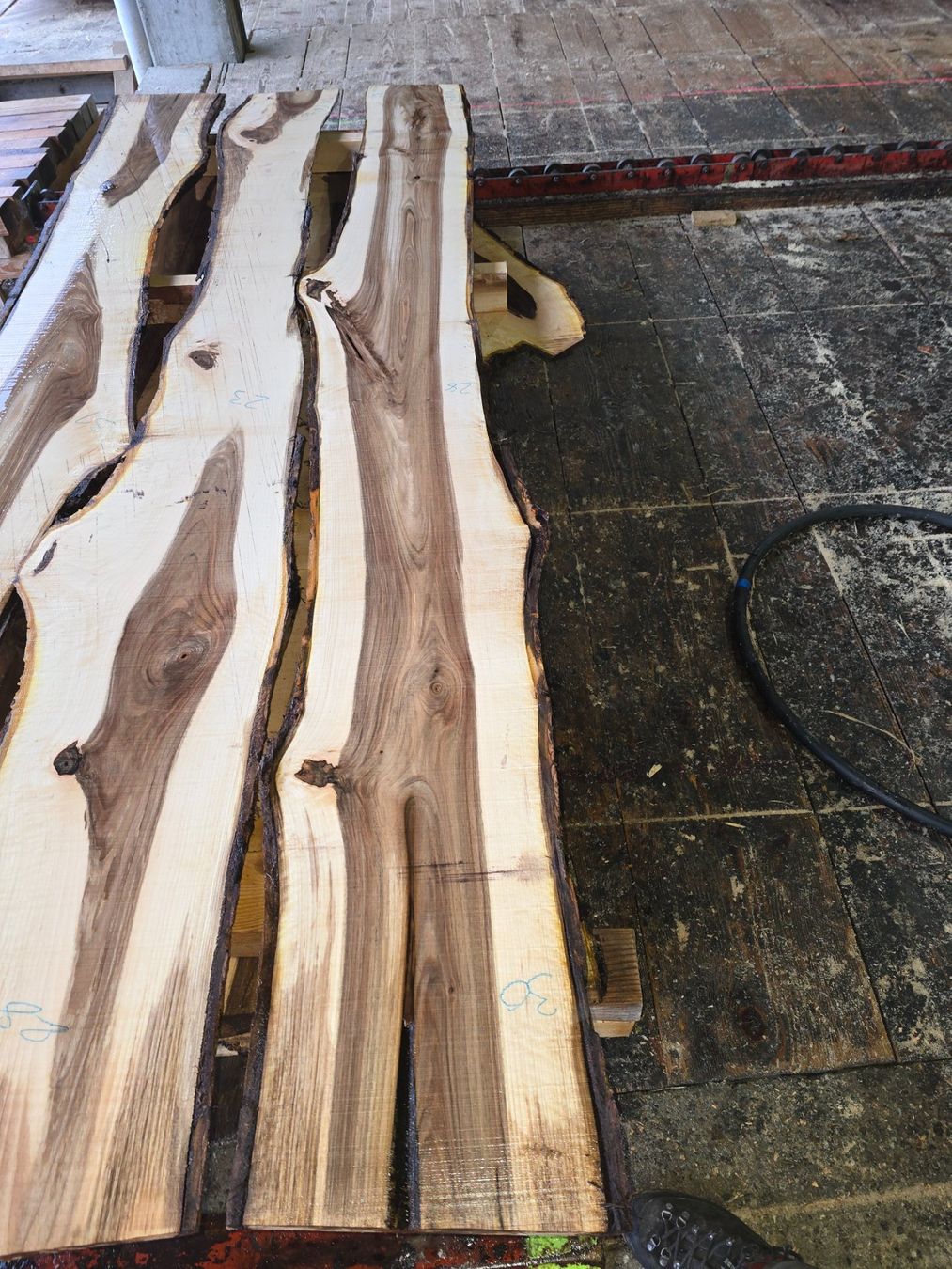 Articoli in legno: Nussbaumbrett Nr. N89 – Nuovo (secondo la descrizione) da Ramsei venduto da Waelchris 1
