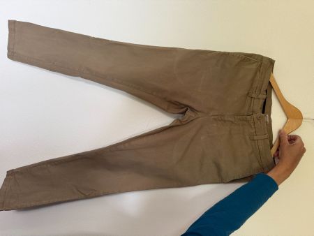 Carhartt Hose beige 