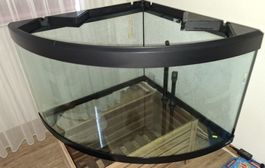 Eck-Aquarium mit Licht & Eheim Aussenfilter