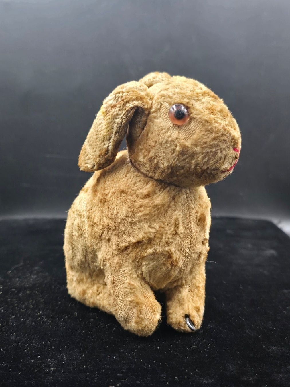 Steiff Giocattoli: Steiff Ballhase – Usato da Rorschacherberg venduto da snOOpydOg11 3