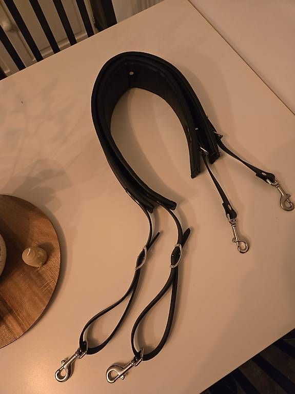 Musikinstrumente: Cassa con supporto e cinghie – Gebraucht aus Gorduno von ale_lwk6 1