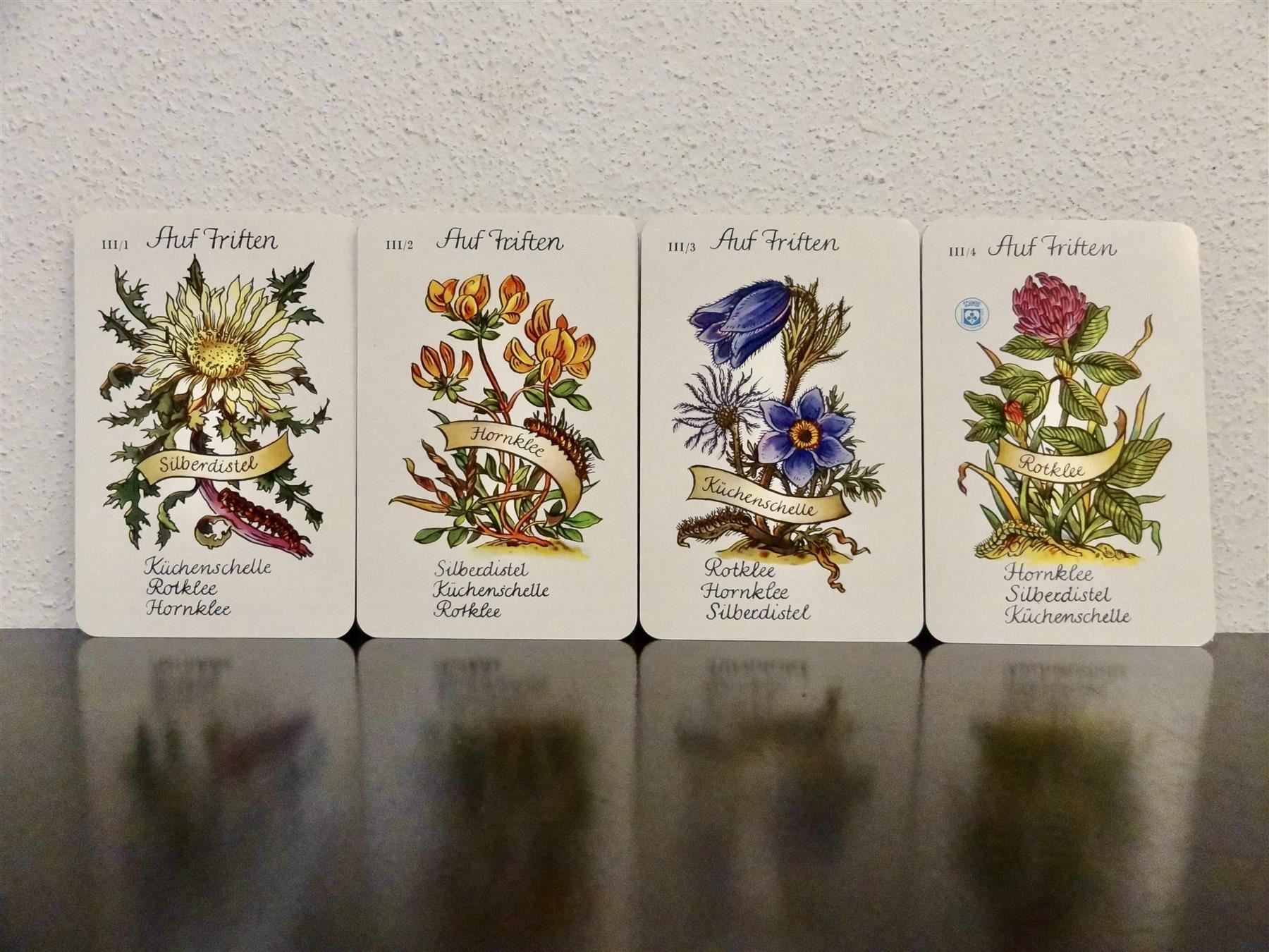 Giochi: altes Quartett BLUMEN-QUARTETT BLUMEN – Usato da Kerzers venduto da wisaundso 5