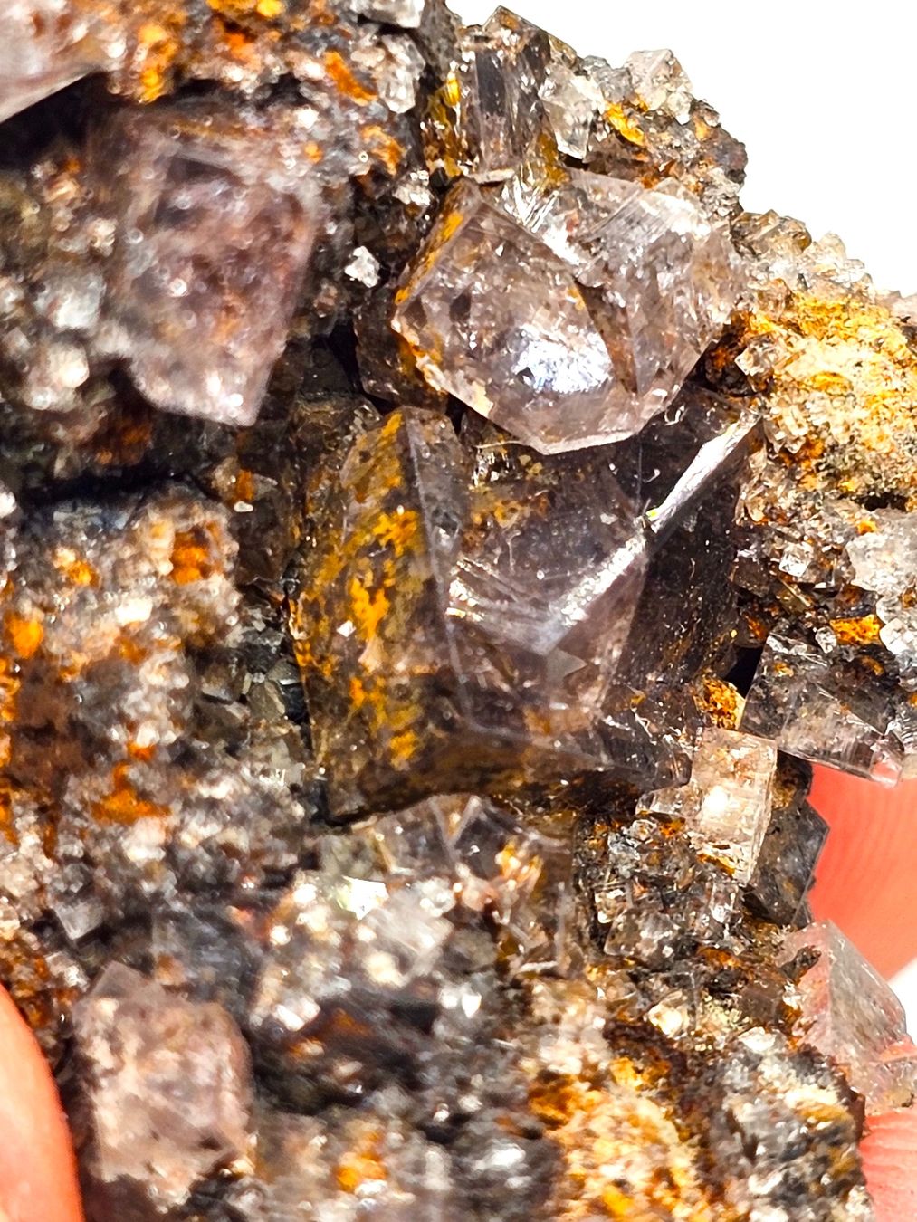 Mineralien & Heilsteine: Fluorite Weardale, County Durham, England, UK – Gebraucht aus Figino von panshop 2