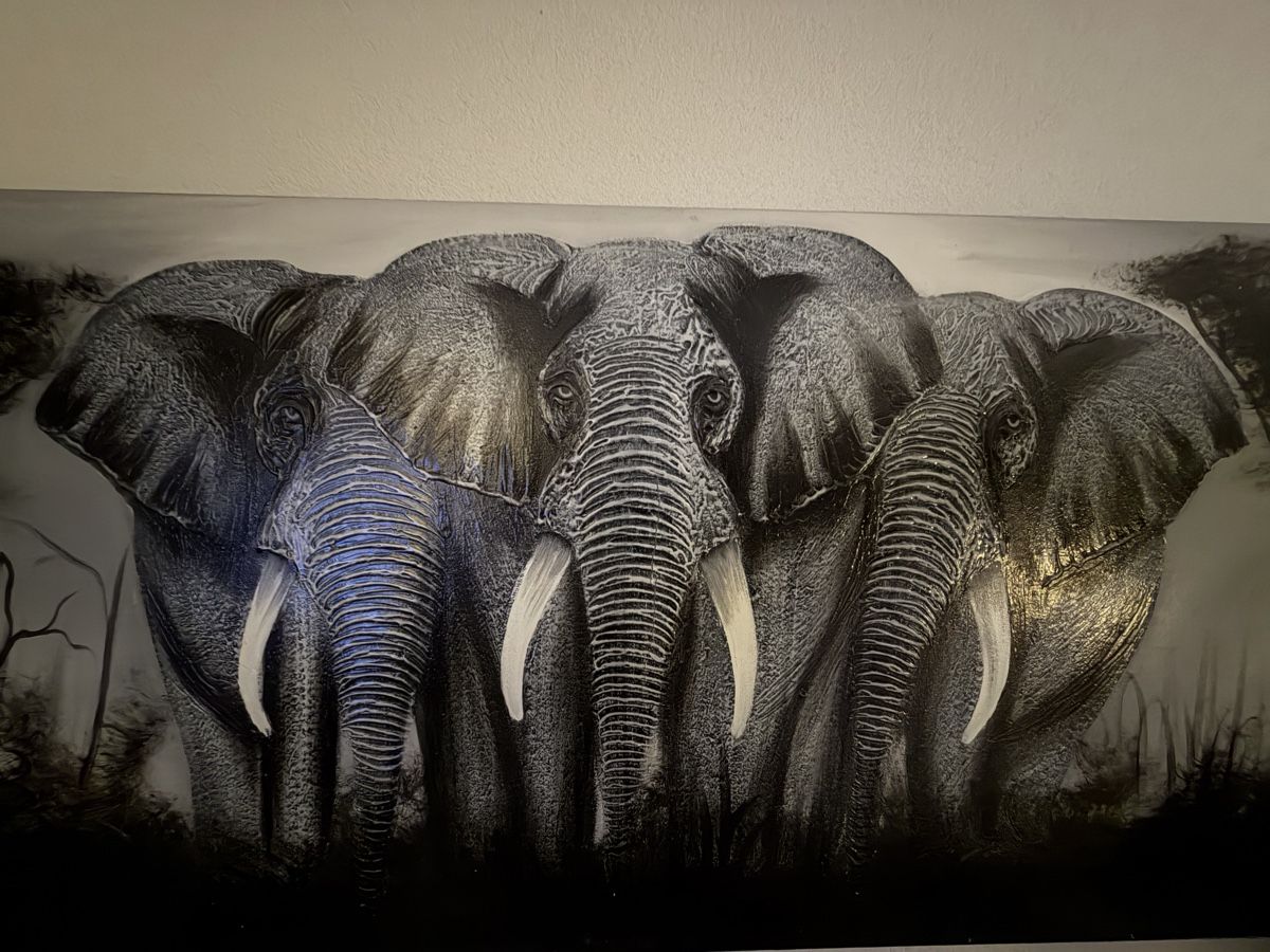 Leinwände & Keilrahmen: Tableau africain – Gebraucht aus Gland von Cantiel75 2