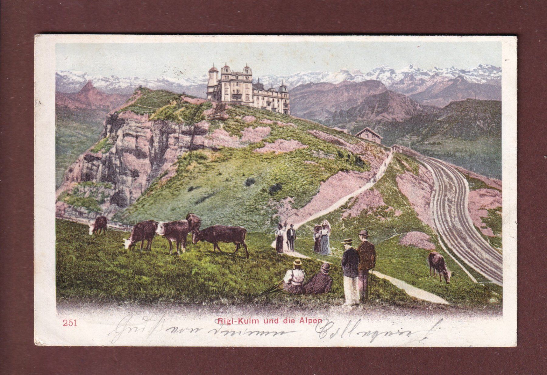 Cartoline postali: RIGI-KULM - Kühe - Leute - 1903 – Usato da Pully venduto da nicecards