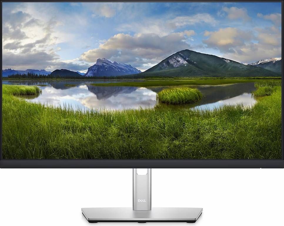 Monitor: DELL Bildschirm 23.8" – Nuovo e nell'imballaggio originale da Dübendorf venduto da rueeggl