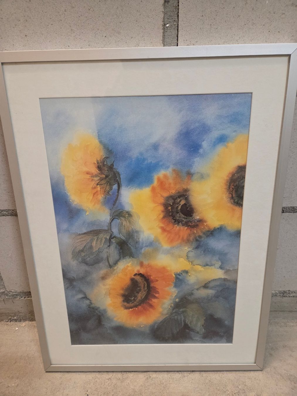 Foto & Immagini: Bild: Sonnenblumen – Usato da St. Gallen venduto da Razoon77