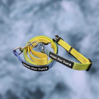 Luvable Friends Haustier-Halsband & Leine In Camouflage – Größe S, Für Hunde & Katzen Bis 34 Kg