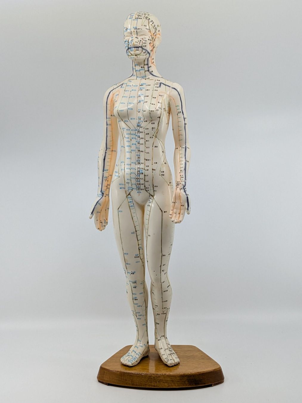 Statuette: Akupunktur Modell Figur – Usato da Emmen venduto da magelan
