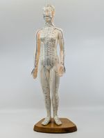 Akupunktur Modell Figur