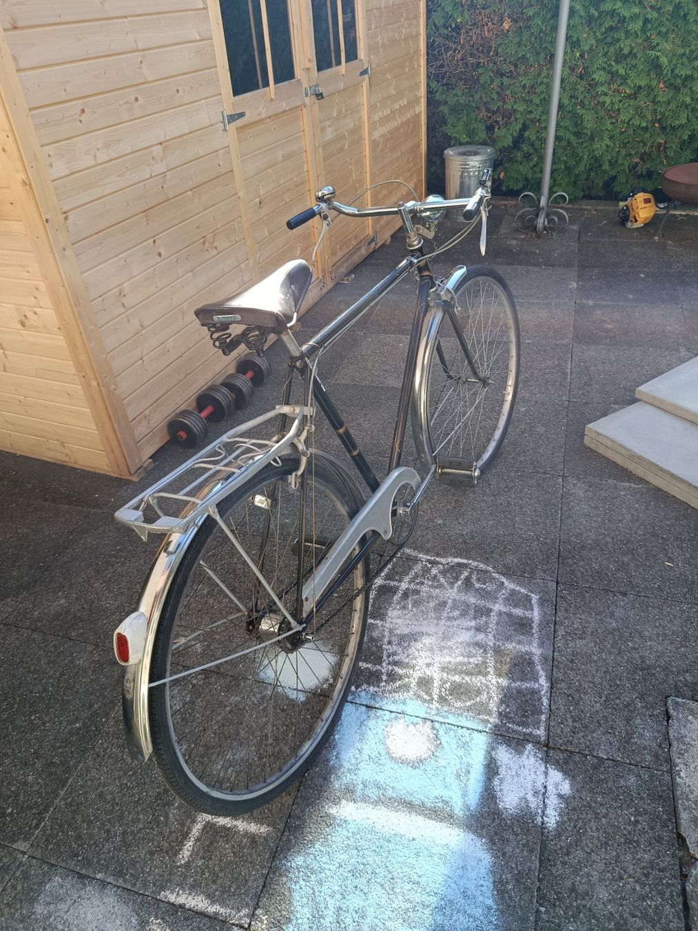 Biciclette: Alpensieg Herrenvelo – Usato da Grabs venduto da Iceman52 2