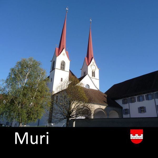 Ravensburger Jeux: Memory Spiel Aargau – Neuf avec emballage d'origine à Erlinsbach par Pfaessli 5
