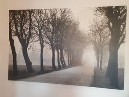 Schönes Leinwandbild 77x117 cm
