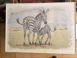 Lithographie Fritz Hug zèbres no 42/300