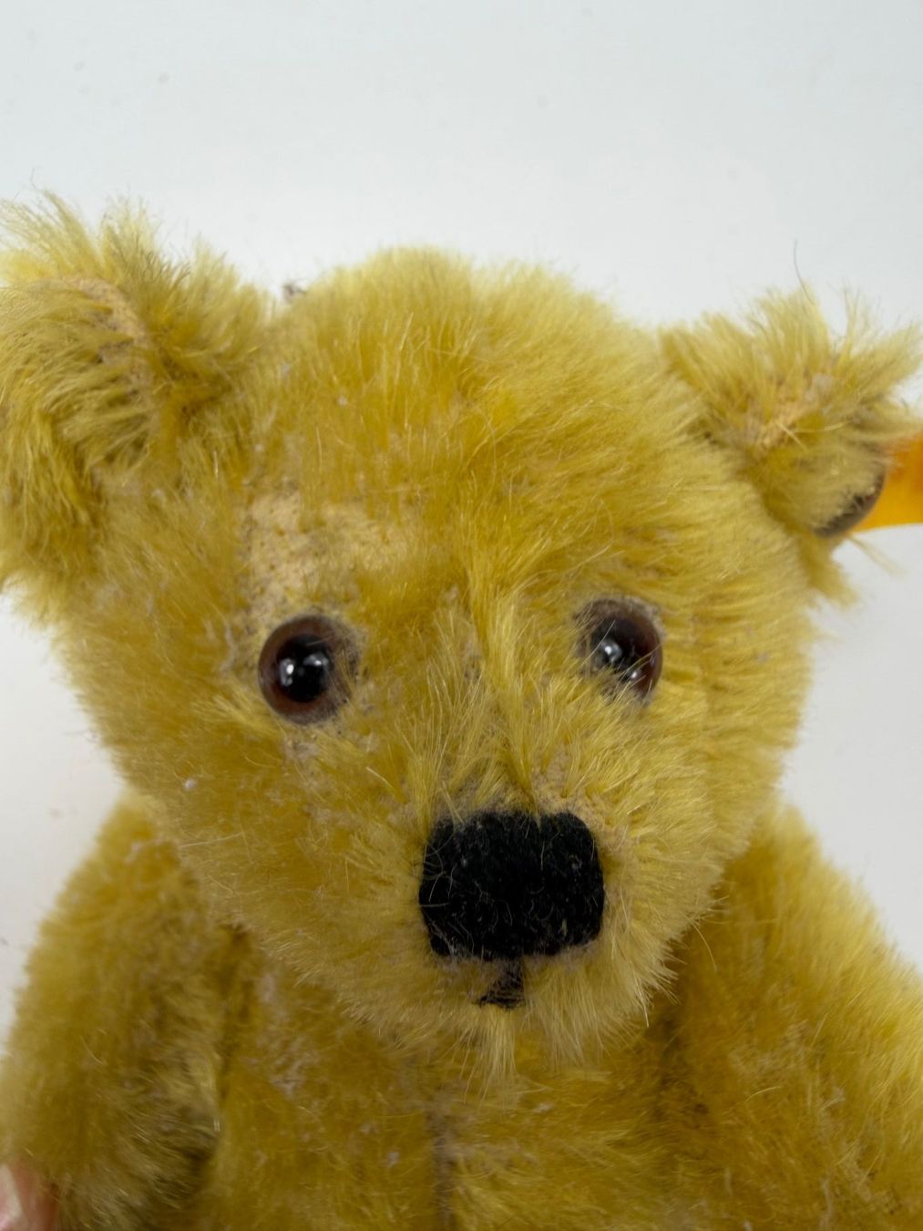 Steiff Spielzeuge: STEIFF Teddybär Petsy (#029424) Höhe 17 cm ca. 1990 – Gebraucht aus Zürich von Arche_Brockenhaus 6