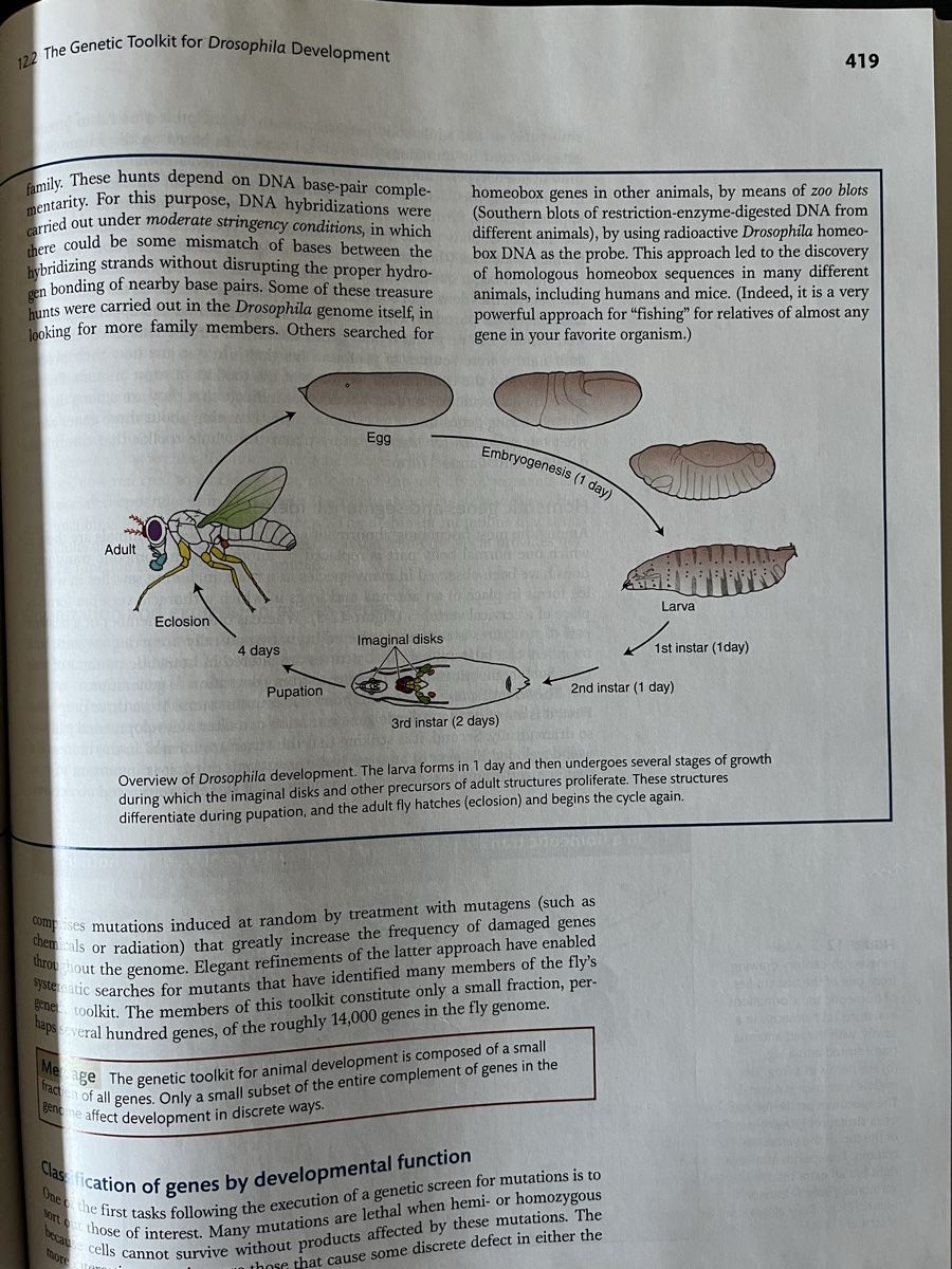 Livres: Introduction to Genetic Analysis 9th Edition Buch – D'occasion à Gümligen par emi_62cd 3