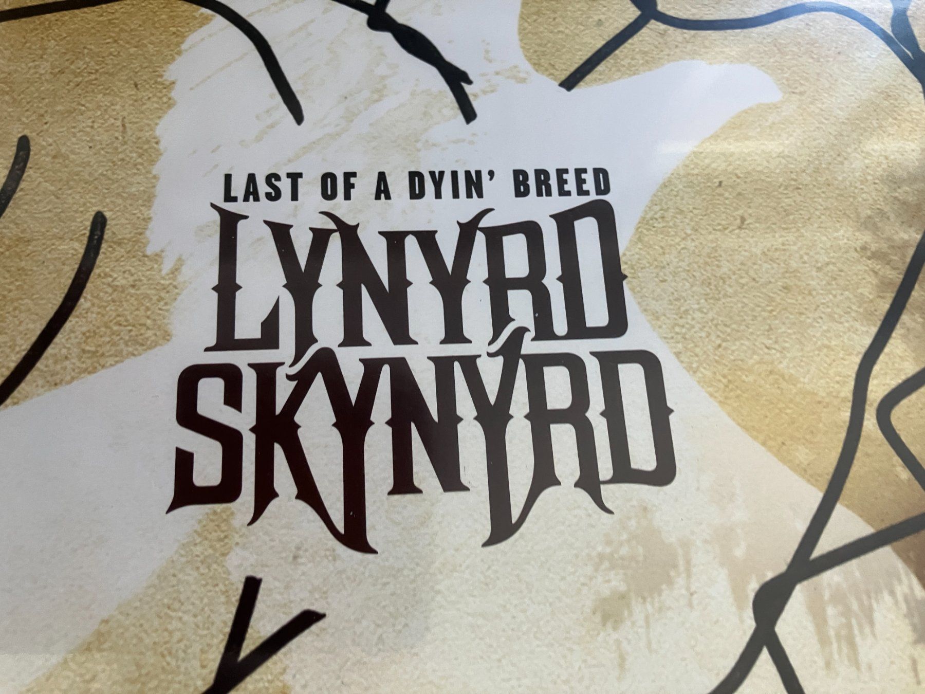 Dischi in vinile: Lynyrd Skynyrd – Nuovo e nell'imballaggio originale da Aarwangen venduto da Jukebox3 1