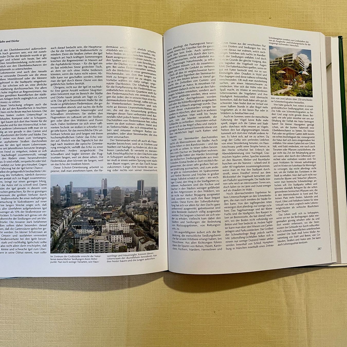 Libri: Tier- und Pflanzenwelt Mitteleuropas, 1984 – Usato da Liestal venduto da Coutellerie 5