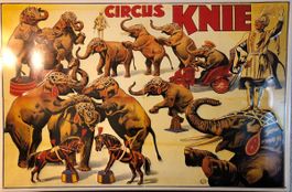 Circus Knie Blechschild 1988 Lim. Franco Knie