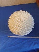 Riesige Dekoration Muscheln Kugel Unikat Rarität