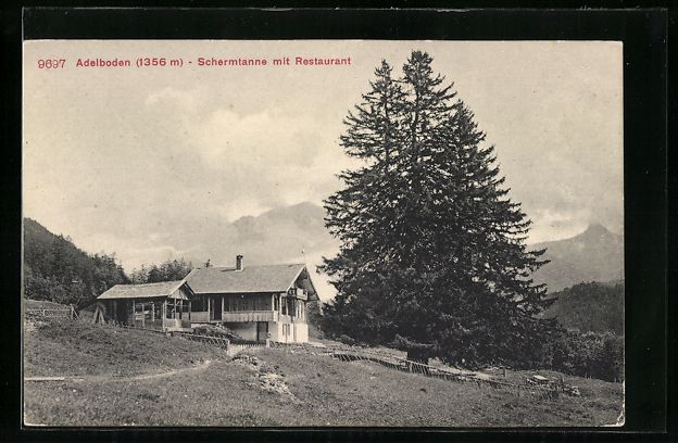 Cartoline postali: AK Adelboden, Schermtanne mit Restaurant – Usato da Berlin venduto da bartko-reher