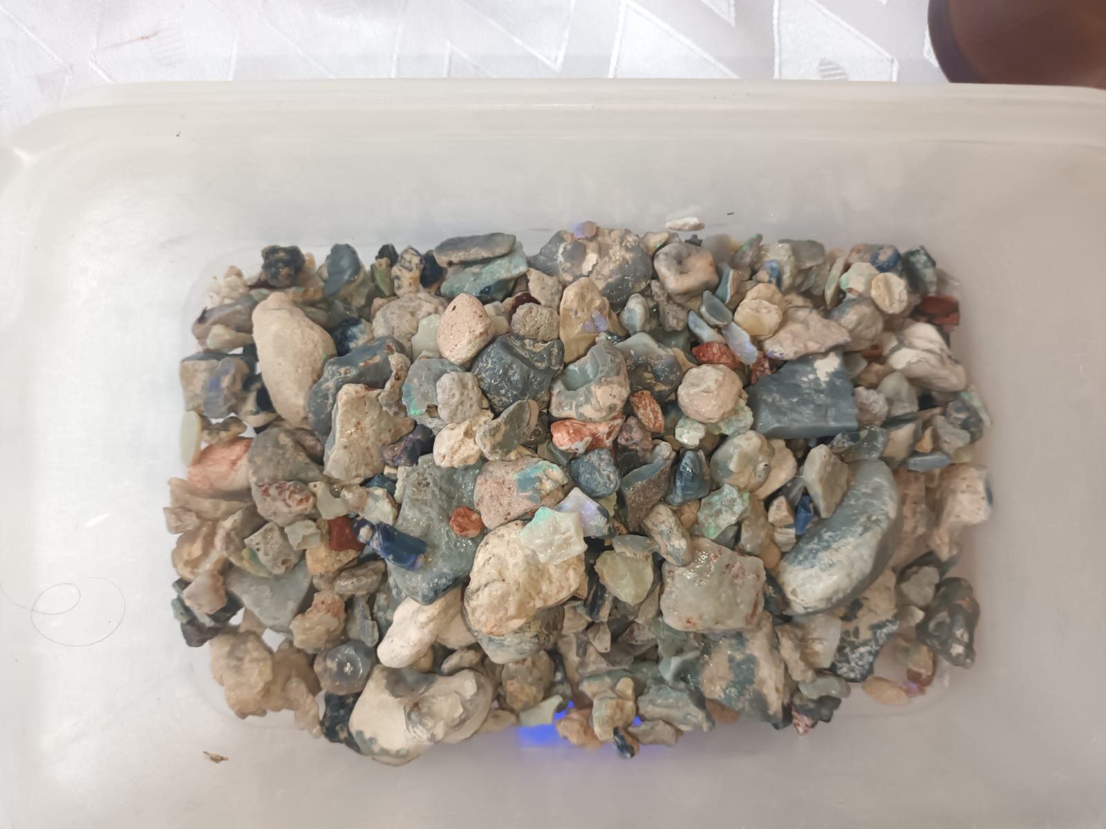 Pietre preziose: Lightning Ridge Opal Rough Parcel – 4,000 ct – Nuovo (secondo la descrizione) da zuerich venduto da Jewlsdesign 6