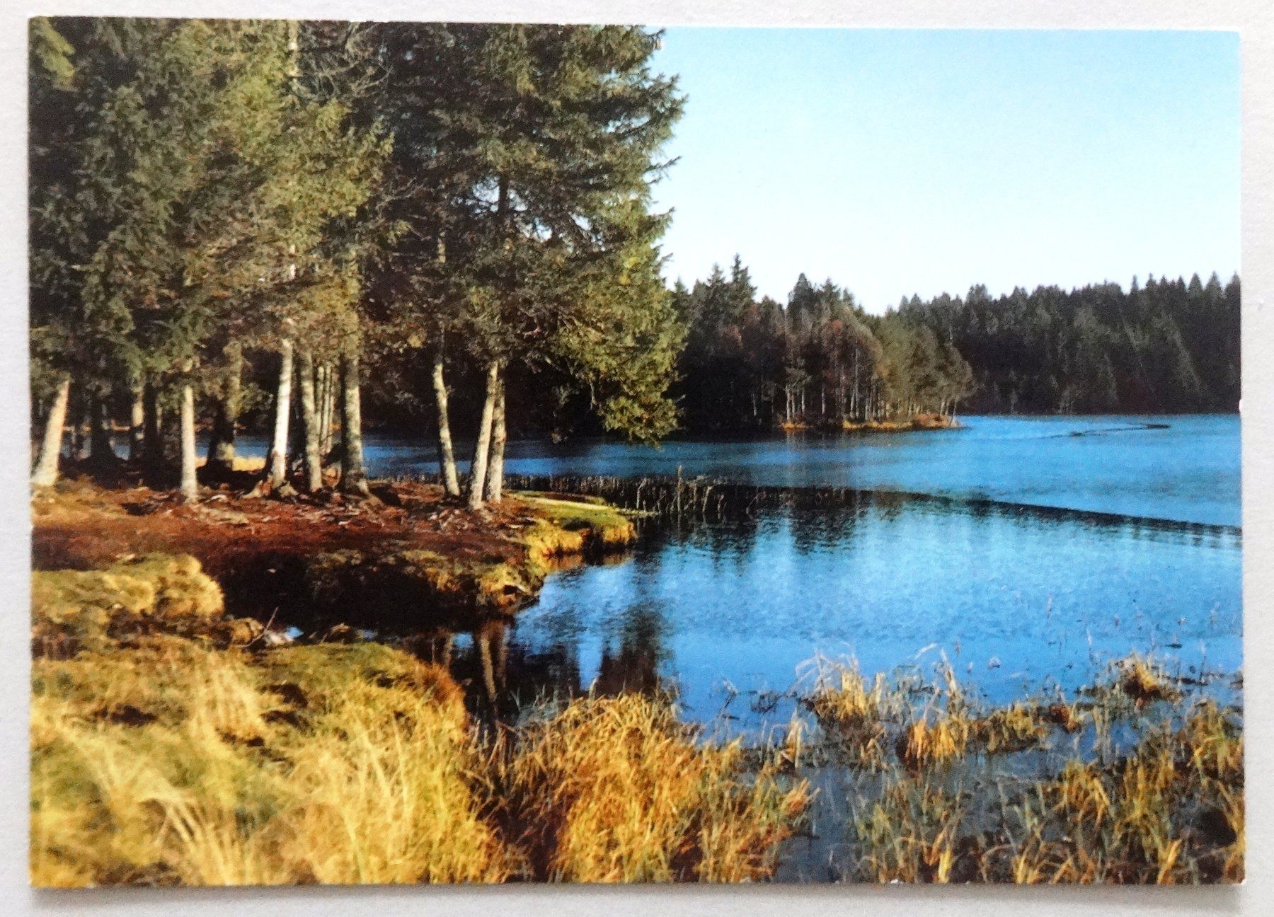 Cartes postales: Etang de la Gruère – D'occasion à Fétigny par Billy2miny