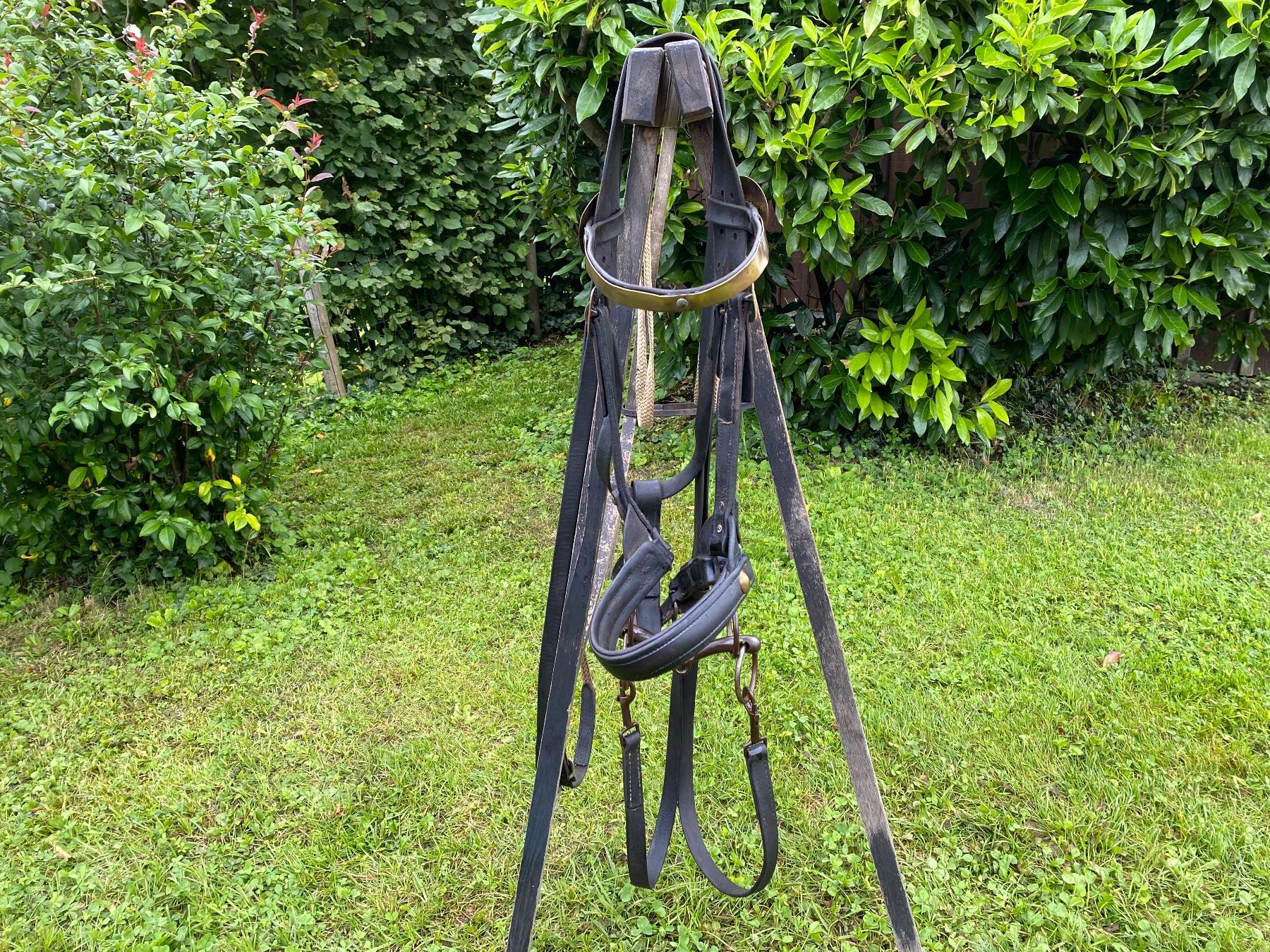 Campanacci mucche: seltenes antikes Säumerhalfter – Usato da Feldbach venduto da Fea1 2