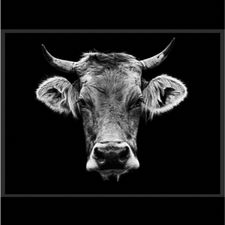 Profile image of Claudio369