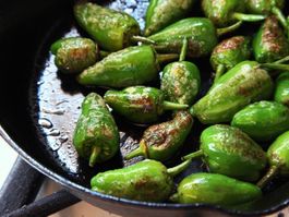 50 Samen Pimento Padron Chili