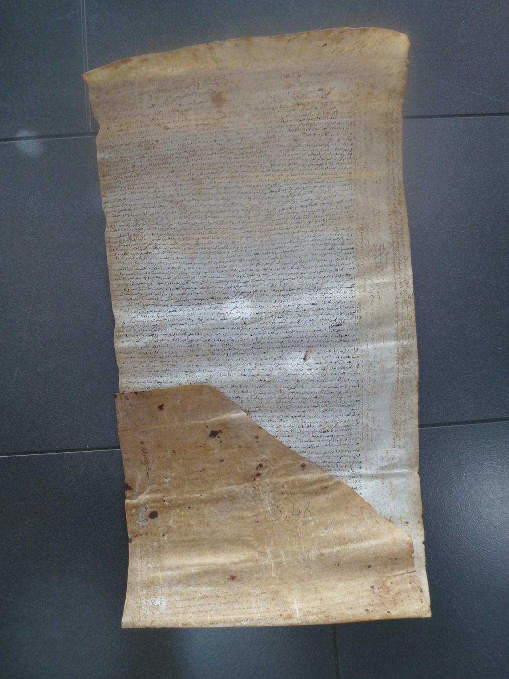 Bücher: Alte Schriftrolle aus Ägypten – Gebraucht aus Esslingen von eintagammeer 2
