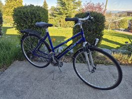 Citybike KTM 24 Gang