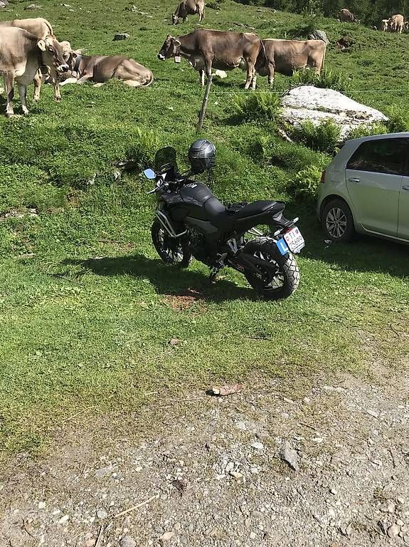 Strada: Honda CBX 500 – Usato da Pollegio venduto da Ely24 3