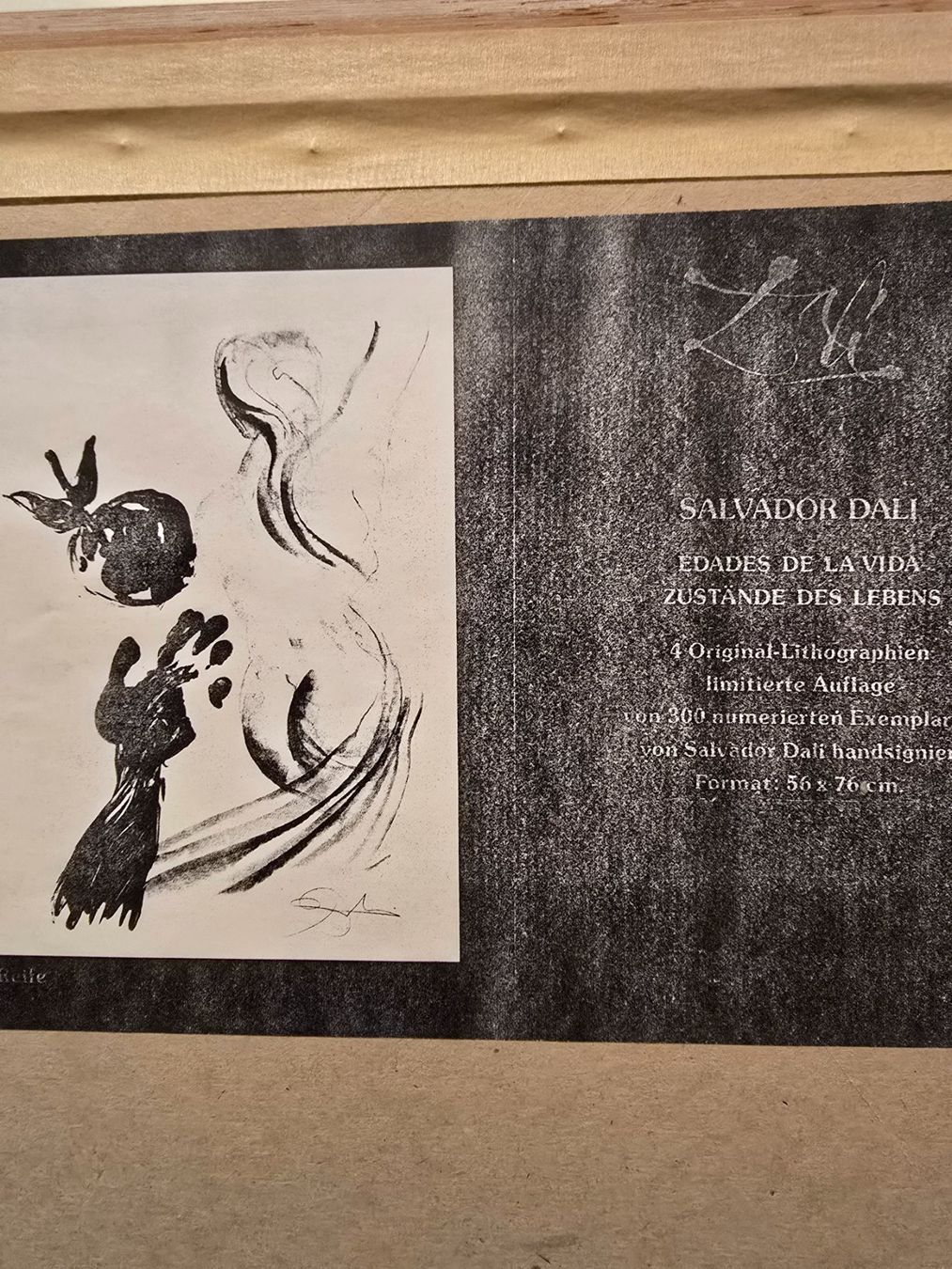 Arts picturaux & lithographies: Salvador Dali original Lithographie – D'occasion à Solothurn par Ok648 5