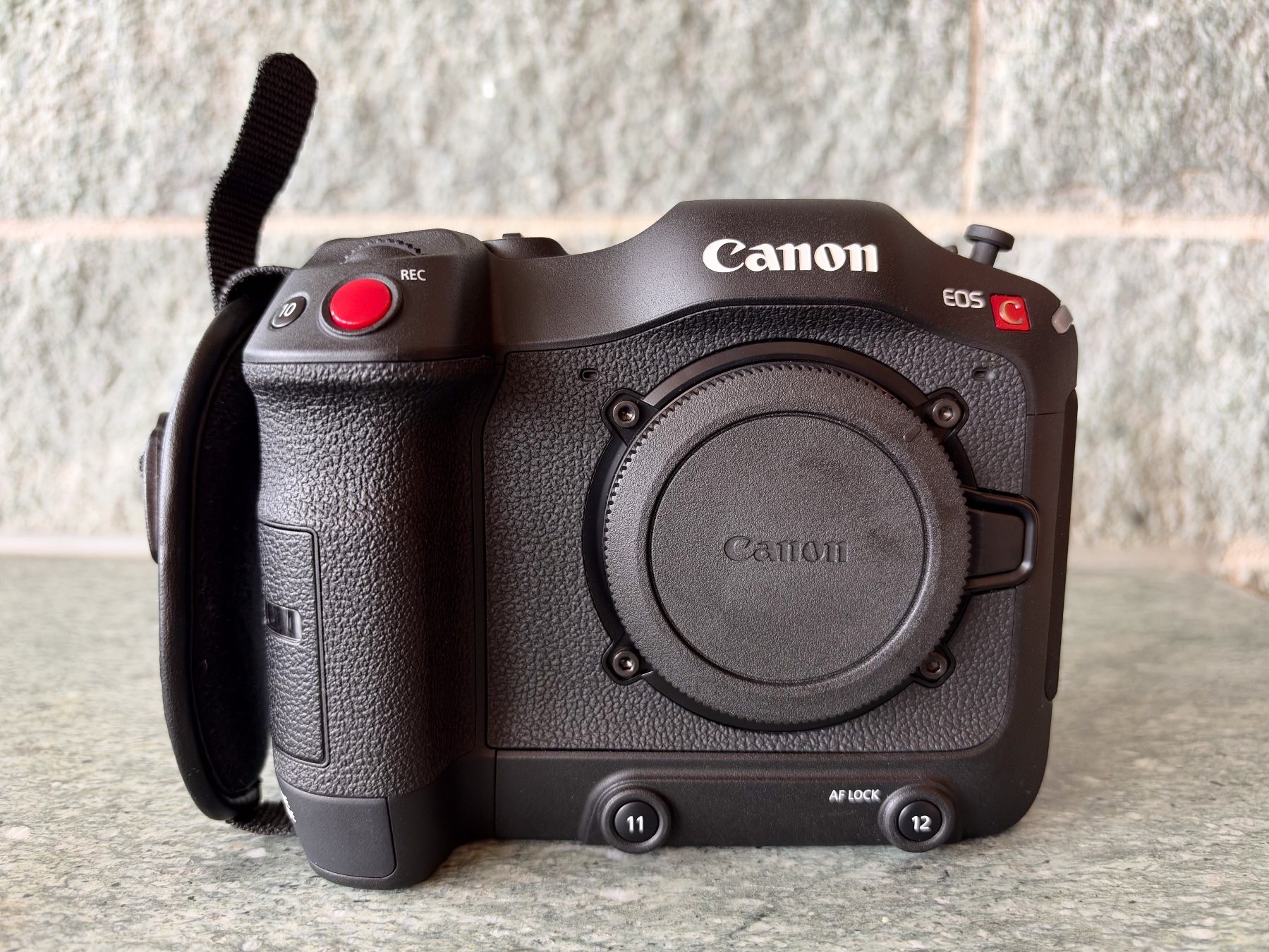 Canon Videocamere: Canon EOS C70 Cinema Kamera mit SmallRig Cage – Usato da Davos Platz venduto da Primate_68 6
