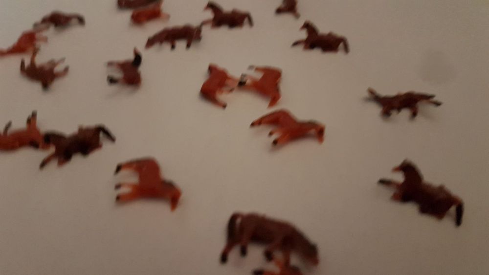 10 chevaux Kaufen auf Ricardo