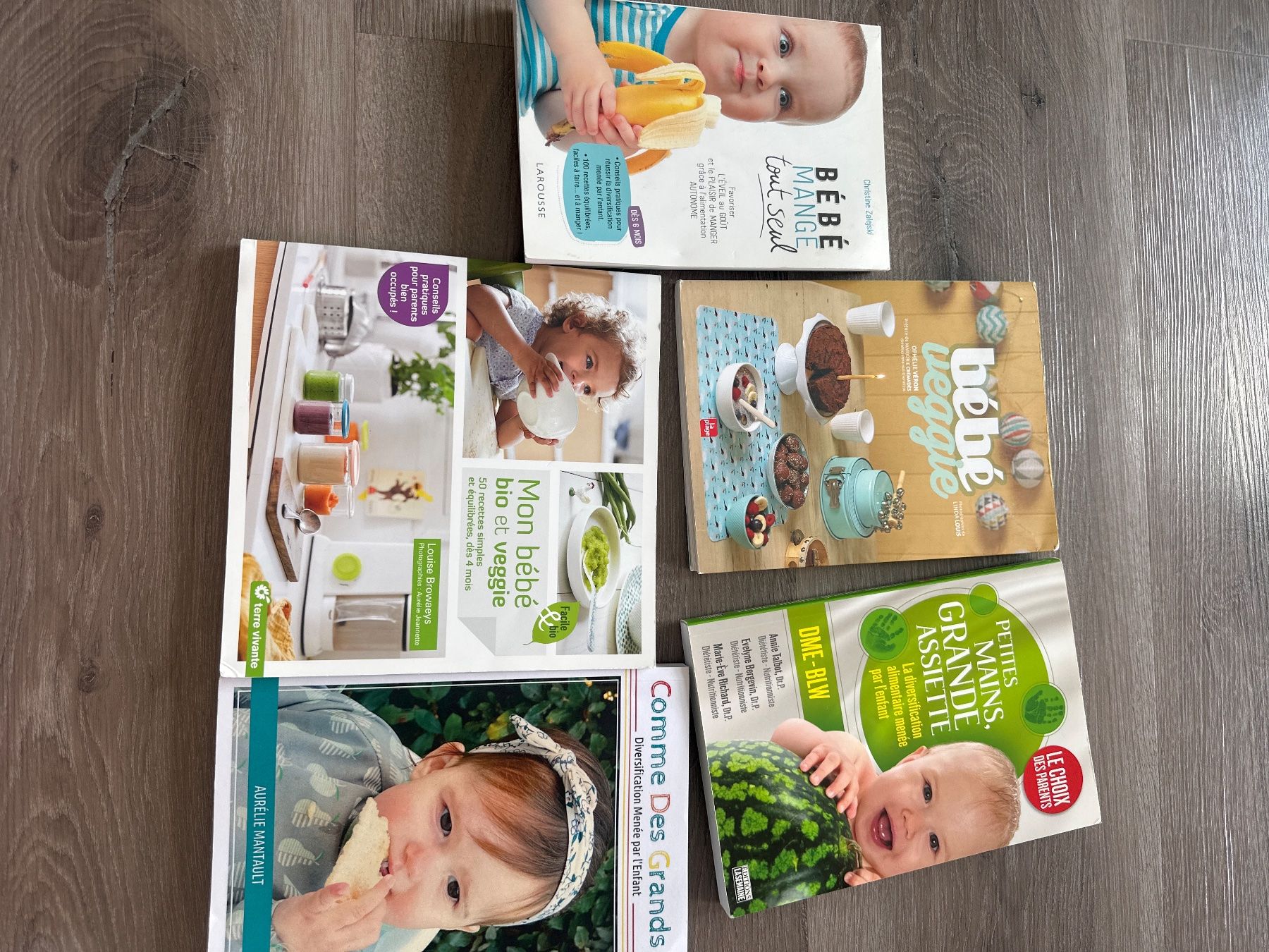 Bücher: Livres recettes bébé et DME veggies – Gebraucht aus Männedorf von Meganbdn