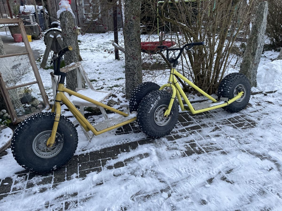 Kickboard: Aktion, 2 Stück, selten, Monster Roller Scooter Trottinette – Gebraucht aus Heimenhausen von Bufnof 1