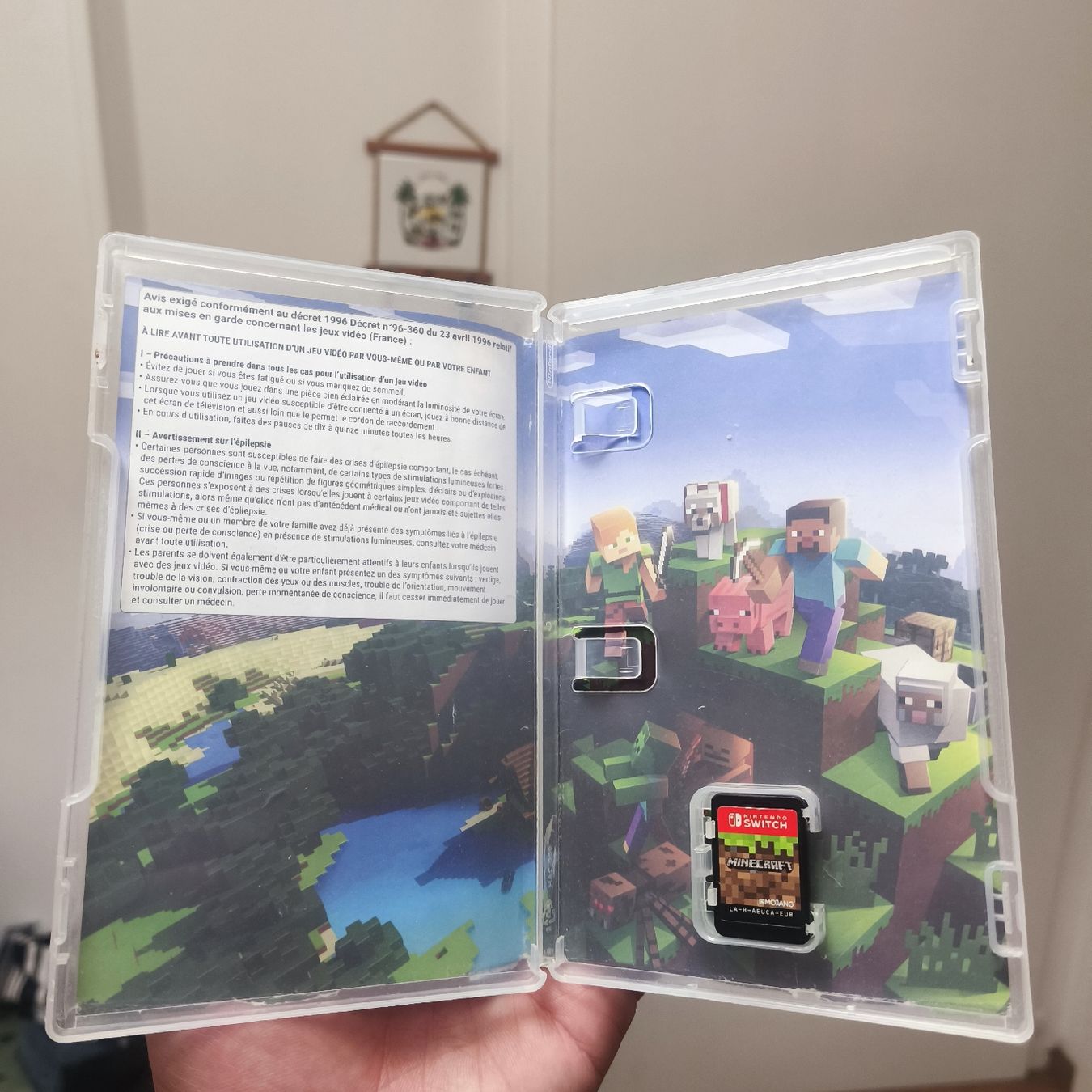 Spiele: ab1.- Minecraft- Nintendo Switch  – Gebraucht aus St-Maurice von Aran_Cash 2