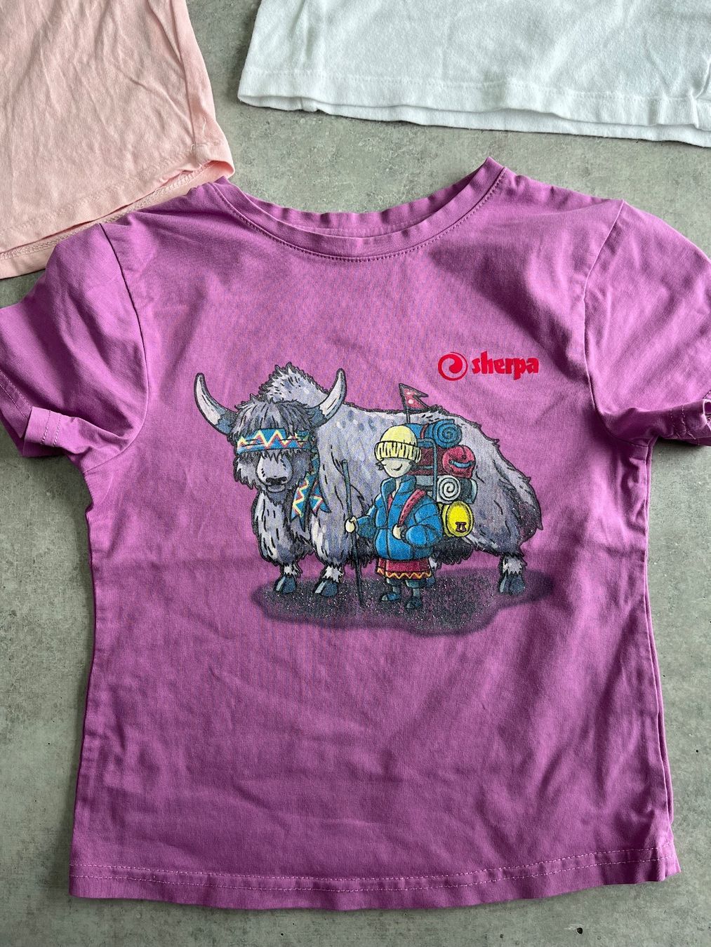 Kleiderpakete & -sets: 3 Shirts ca. Gr. 110/116 SHERPA etc. – Gebraucht aus Zollikofen von spunk65 1