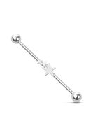 Barbell Silber mit 3 Sterne