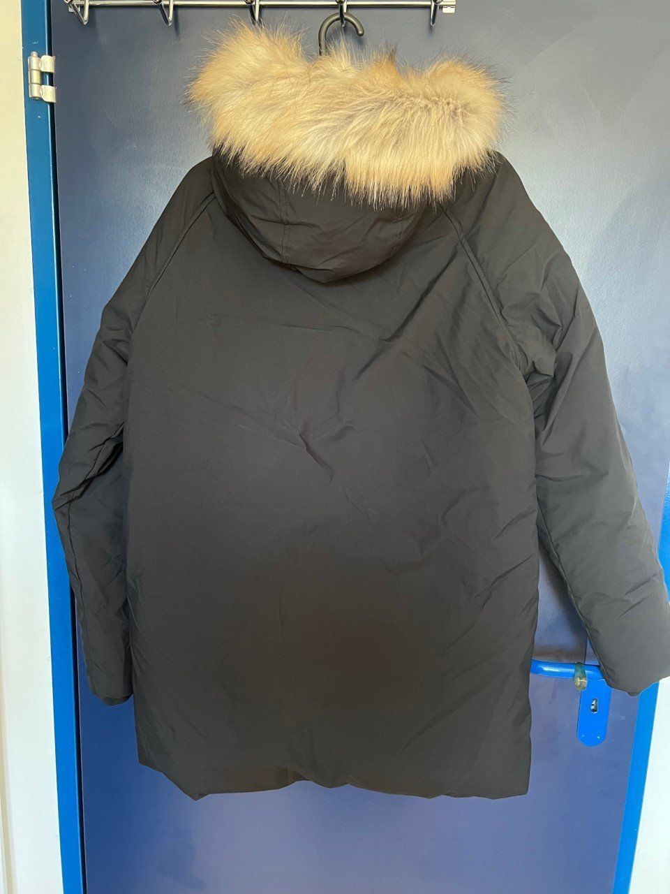 Tommy Hilfiger Giacche & Cappotti: Tommy Hilfiger Jacke schwarz – Nuovo (secondo la descrizione) da Lupfig venduto da Pluribus 1