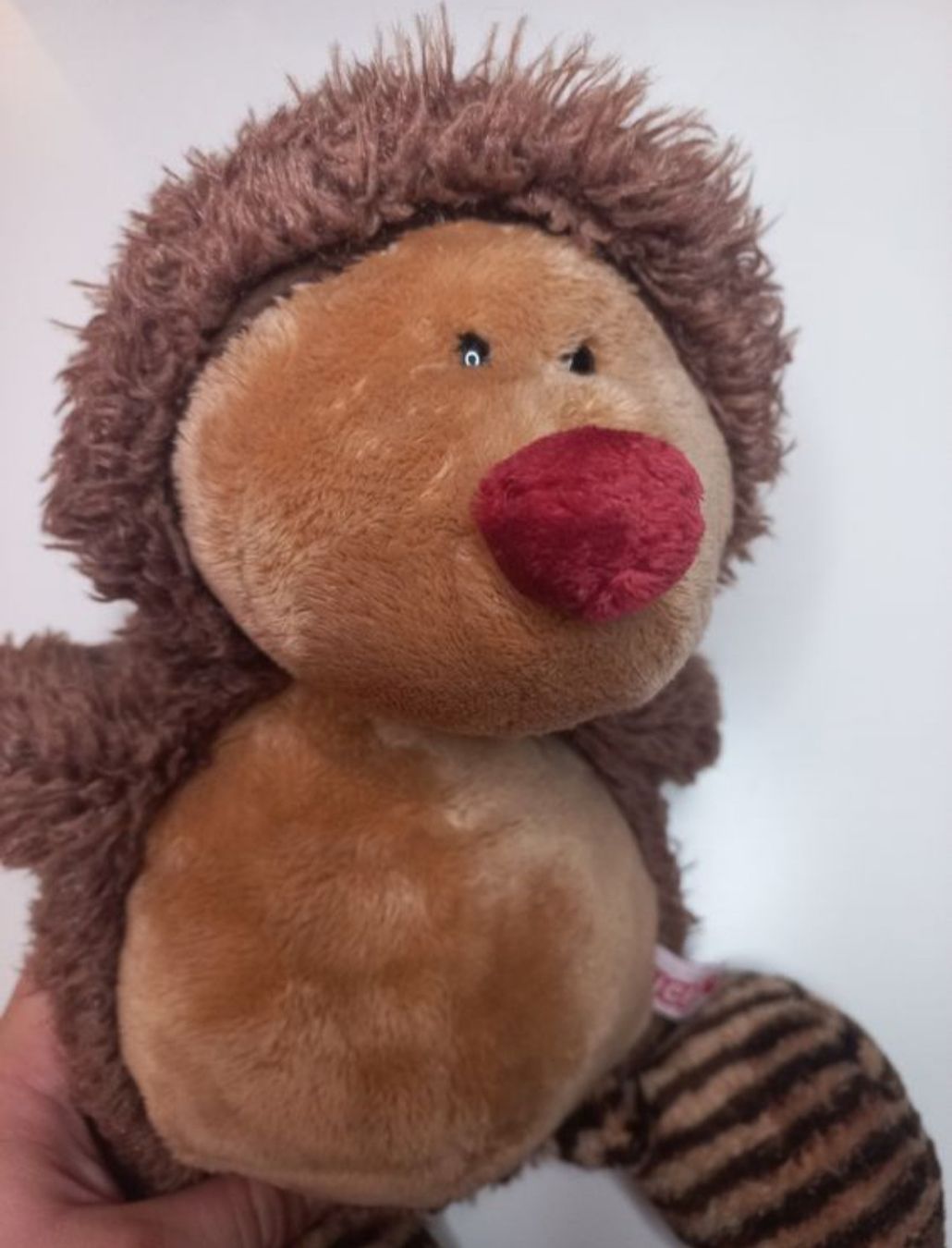 Nici Giocattoli: Süsser NICI Igel 🦔 – Usato da Wangen b. Olten venduto da SecondStory4u 2